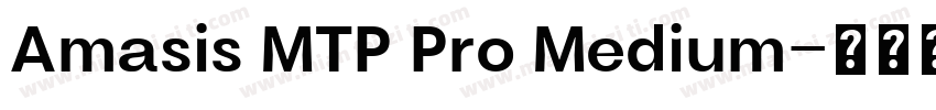 Amasis MTP Pro Medium字体转换